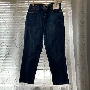Curve Love The 90s Straight Ultra High Rise Medium Wash Denim - Never Worn!